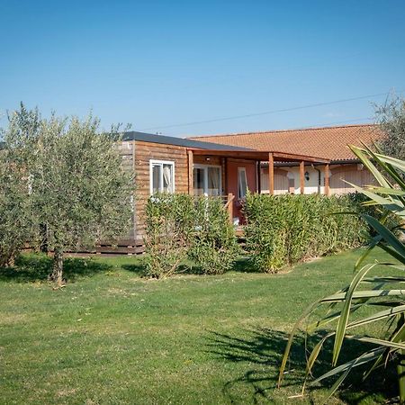 Agriturismo Tre Colline 巴多利诺 外观 照片
