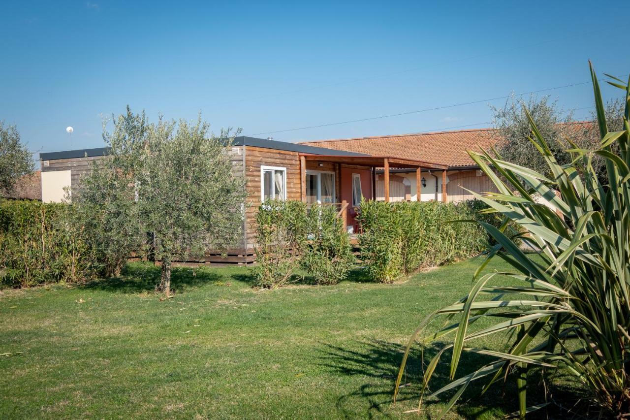 Agriturismo Tre Colline 巴多利诺 外观 照片